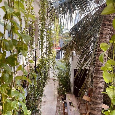 Hotel Anana Coliving Playa del Carmen Esterno foto