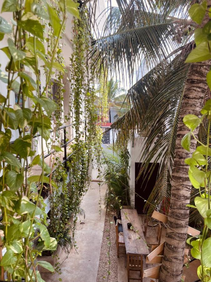 Hotel Anana Coliving Playa del Carmen Esterno foto