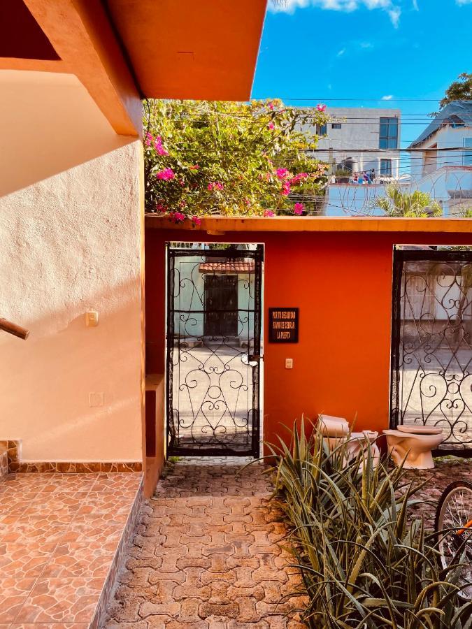 Hotel Anana Coliving Playa del Carmen Esterno foto