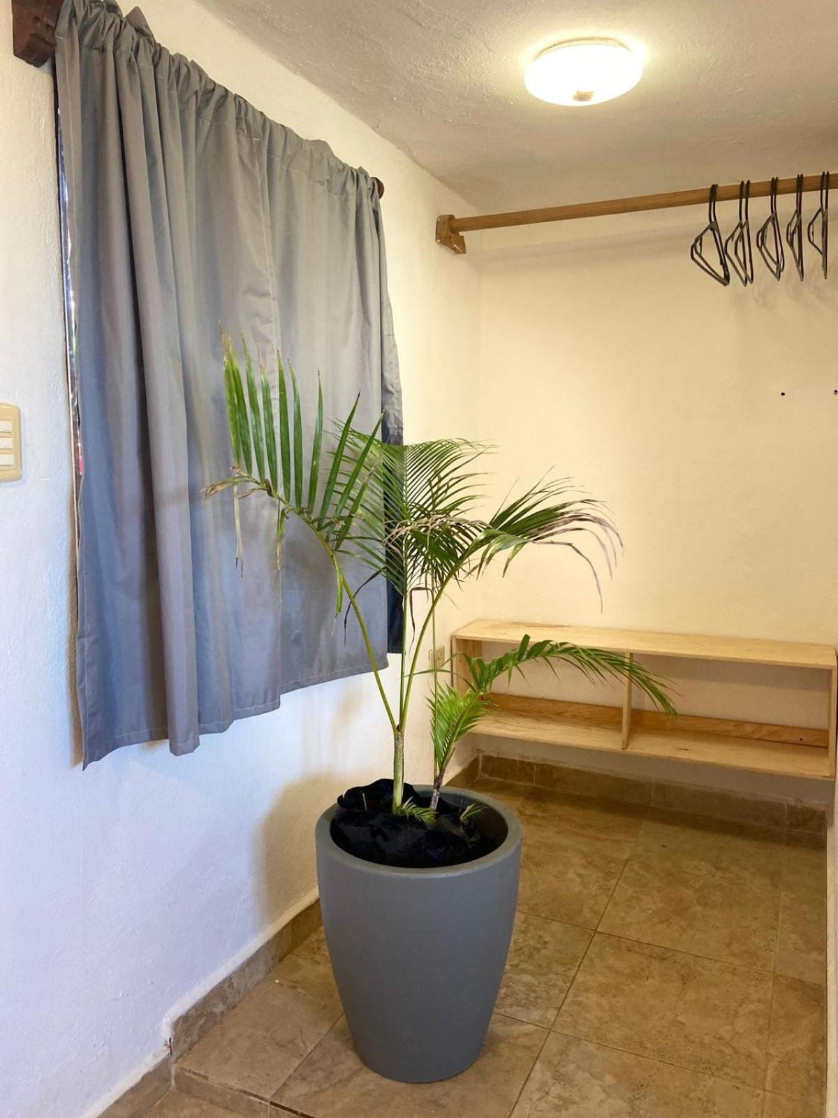 Hotel Anana Coliving Playa del Carmen Esterno foto