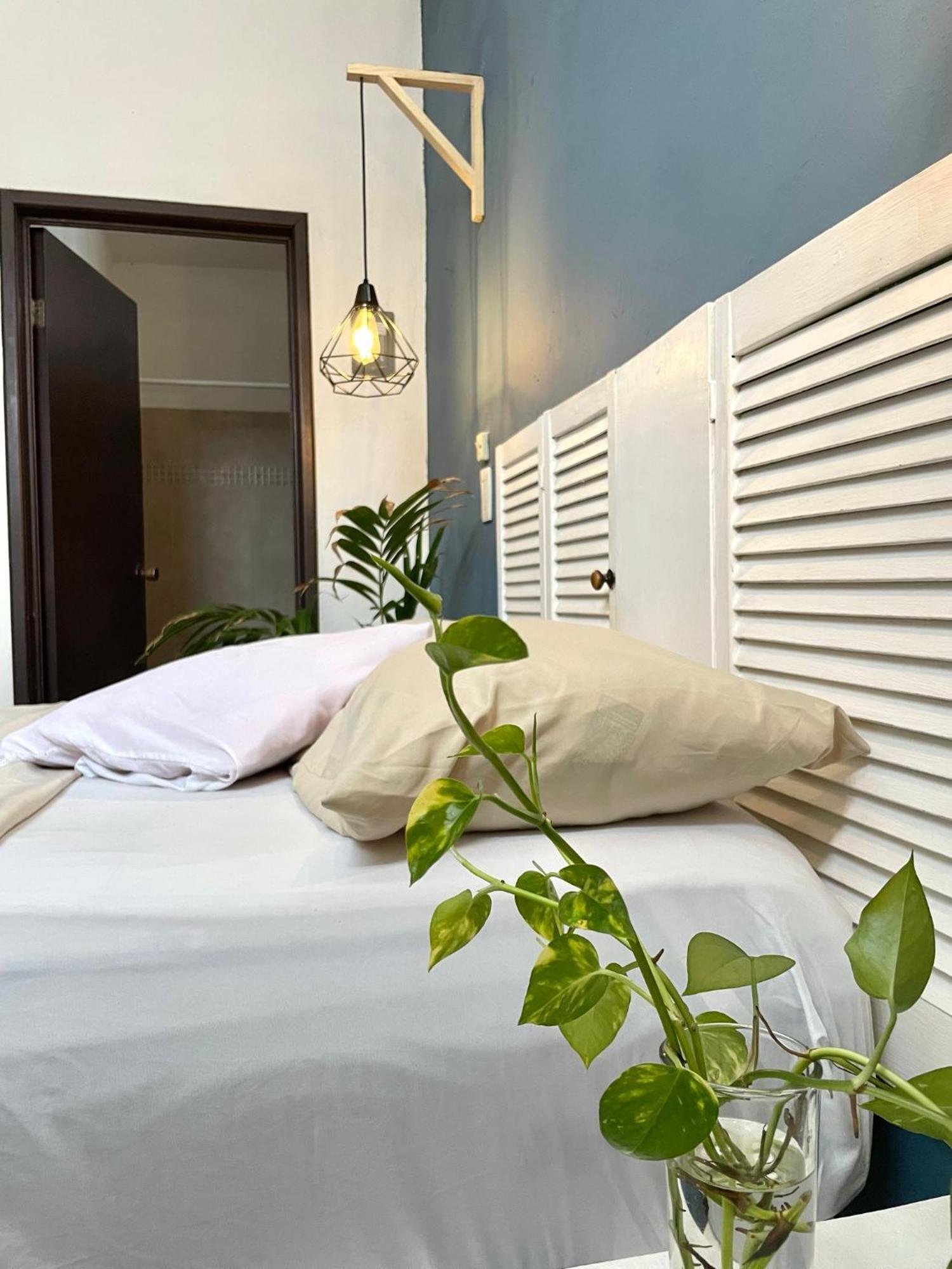 Hotel Anana Coliving Playa del Carmen Esterno foto